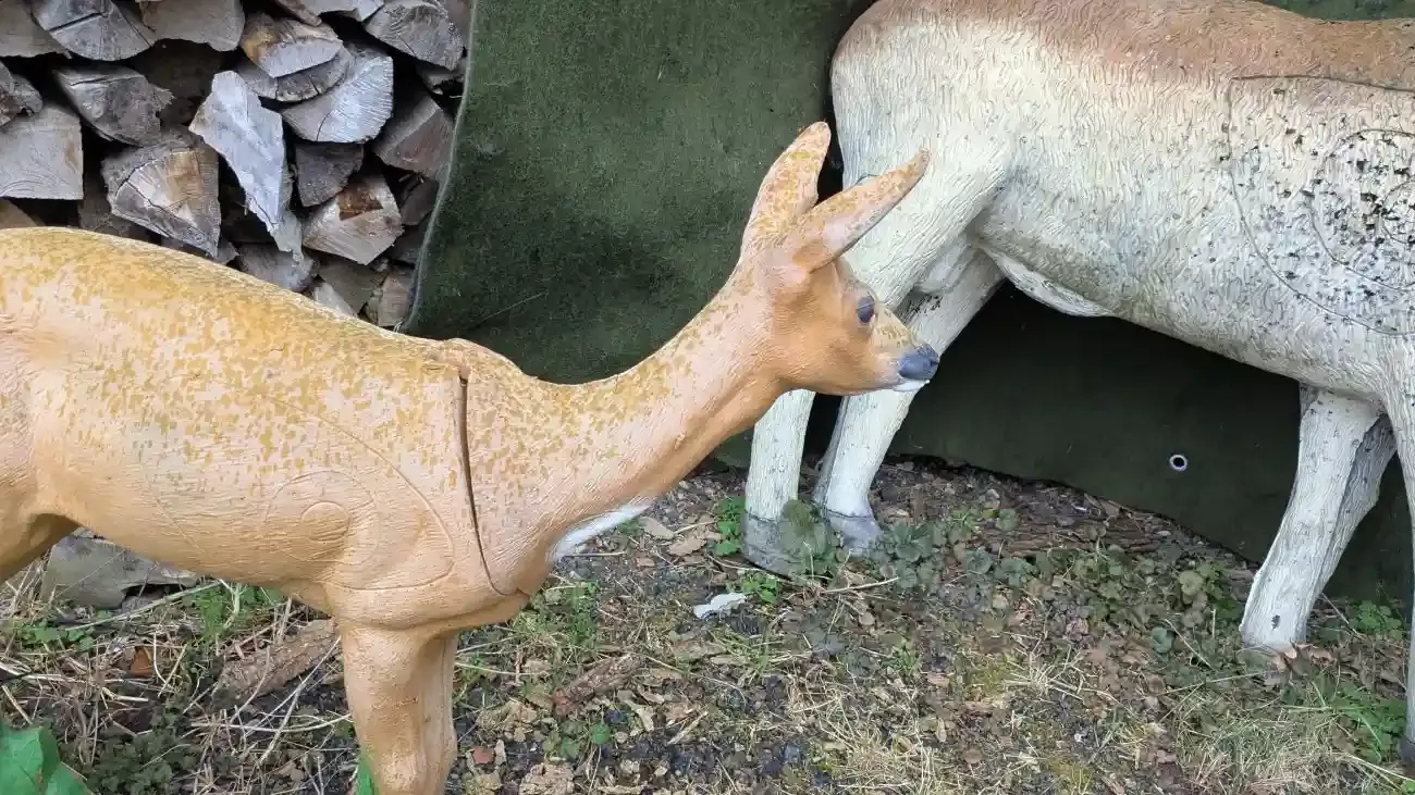 Zwei 3D-Ziele in Form von Rehen auf einem Bogenparcours, im Rumpf sind die Trefferzonen eingezeichnet